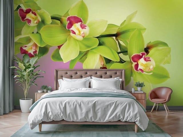 Fototapeta Zielone orchidee na gałęzi (mpn: FT-3546) Fototapeta Storczyki – zielone orchidee z różowymi wnętrzami