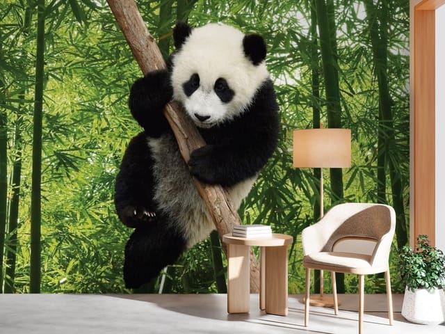 Fototapeta zwierzęta leśne – panda na drzewie bambusowym