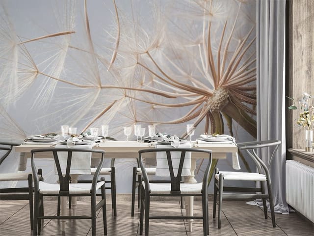 Fototapeta zbliżenie na dmuchawiec z delikatnymi nasionami na jasnym tle