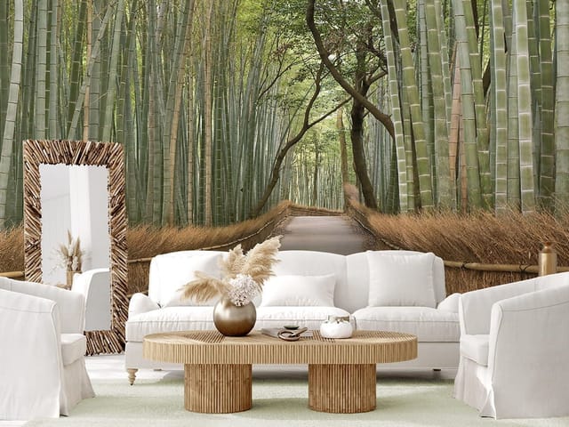 Fototapeta Ścieżka w lesie bambusowym