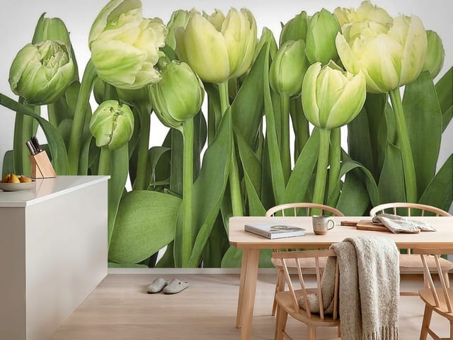 Fototapeta Tulipany – żółte tulipany z zielonymi liśćmi