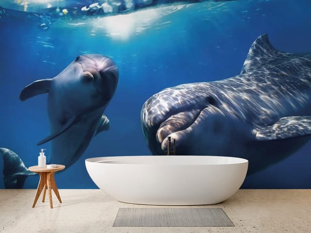 Fototapeta Delfiny – dwa delfiny pływające pod wodą