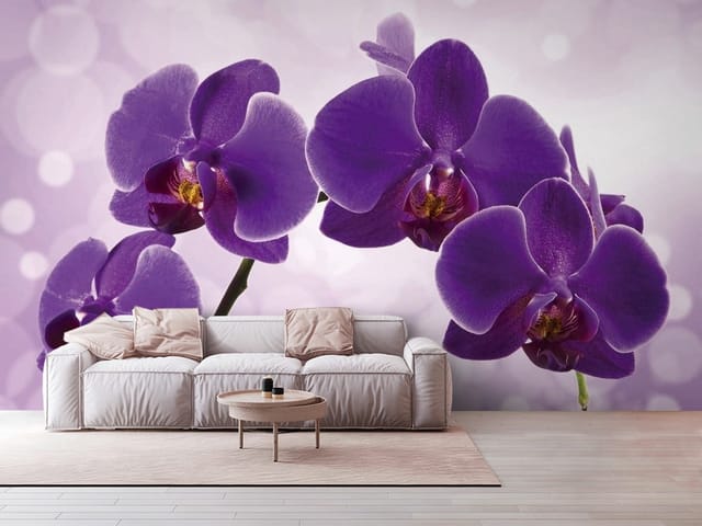 Fototapeta Fioletowe Orchidee na Gałązce (mpn: FT-4386) Fototapeta storczyki – fioletowe kwiaty orchidei na gałązce