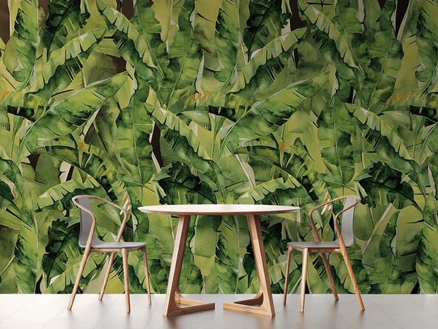 Fototapeta Zielone Liście Bananowca (mpn: FT-4920) Fototapeta liście – gęsto rozmieszczone zielone liście bananowca