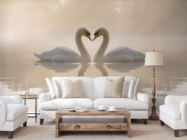 Fototapeta Łabędzie w delikatnej mgle