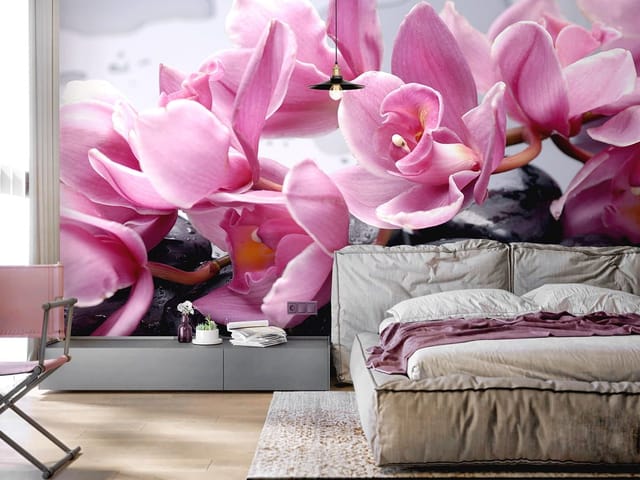 Fototapeta z różowymi orchideami na czarnych, mokrych kamieniach