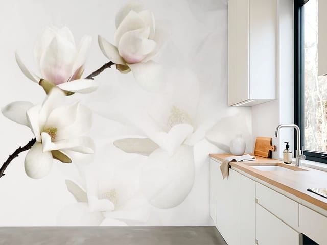 Fototapeta Białe Magnolie na Gałęzi (mpn: FT-5221) Fototapeta Magnolie – białe kwiaty magnolii na gałęzi