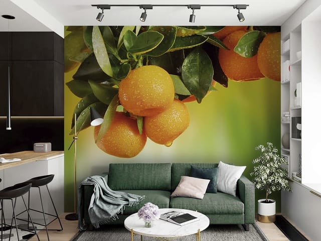 Fototapeta Gałąź z pomarańczowymi owocami