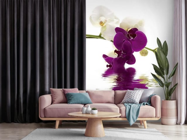 Fototapeta Fioletowe i białe orchidee nad wodą (mpn: FT-575) Fototapeta Storczyki – fioletowe i białe orchidee nad wodą