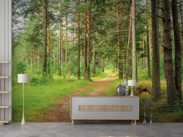 Fototapeta Leśna droga wśród wysokich sosen (mpn: FT-5807) Fototapeta Leśne gęstwiny – leśna droga wśród drzew