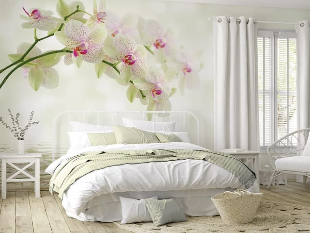 Fototapeta z gałęzią storczyków nad wodą, z zielonymi liśćmi i odbiciem