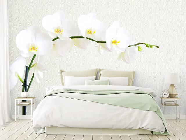 Fototapeta Białe Orchidee na Łodydze (kod: 5868) Fototapeta przedstawiająca białe kwiaty orchidei na zielonej łodydze z jasnym tłem