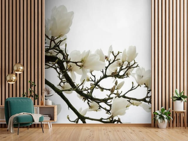 Fototapeta Magnolie z gałęzią i białymi kwiatami