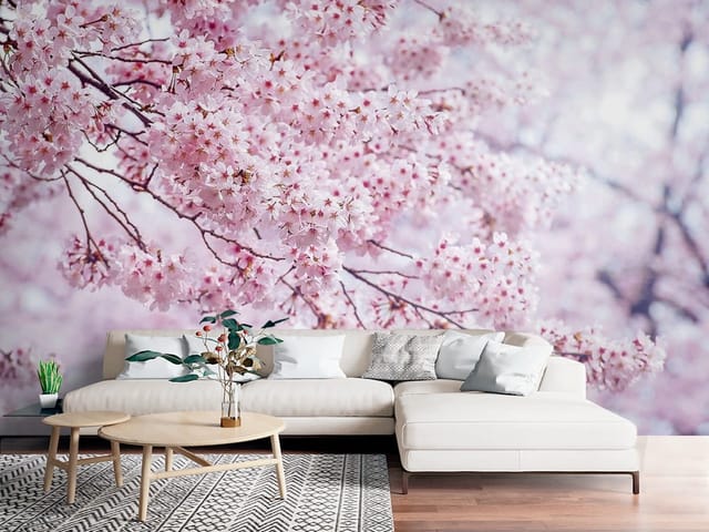 Fototapeta Sakura – gałąź z kwiatami wiśni (mpn: FT-6054) Fototapeta Sakura – gałąź drzewa obsypana kwiatami wiśni