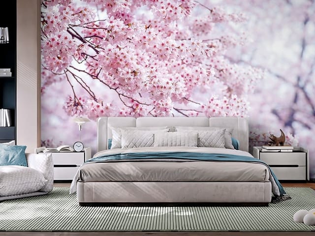 Fototapeta Sakura – gałąź drzewa obsypana kwiatami wiśni