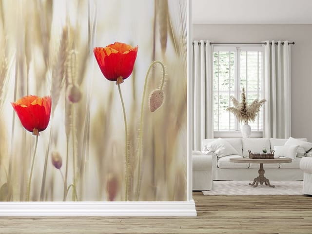 Fototapeta z dwoma czerwonymi makami na tle zboża, delikatne kolory