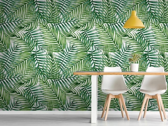 Fototapeta liście – zielone liście palmowe na białym tle