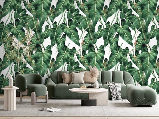 Fototapeta Zielone liście na białym tle (mpn: FT-6202) Fototapeta liście – ilustracja dużych zielonych liści na białym tle