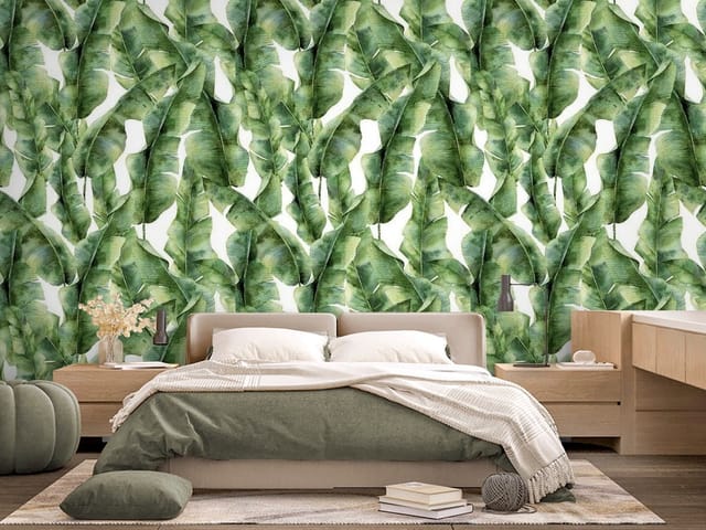 Fototapeta liście – duże zielone liście bananowca na białym tle