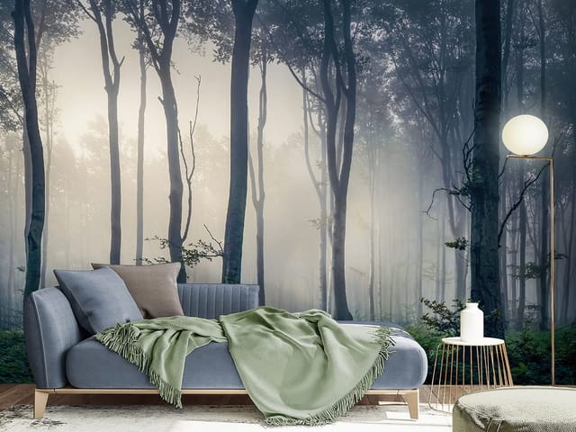 Fototapeta przedstawiająca wysokie drzewa w gęstym lesie z mgłą i ciemnymi pniami