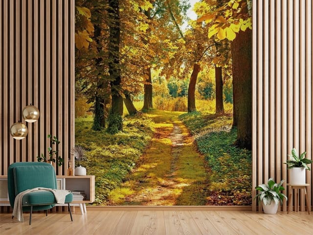 Fototapeta Las o świcie – ścieżka w lesie z drzewami