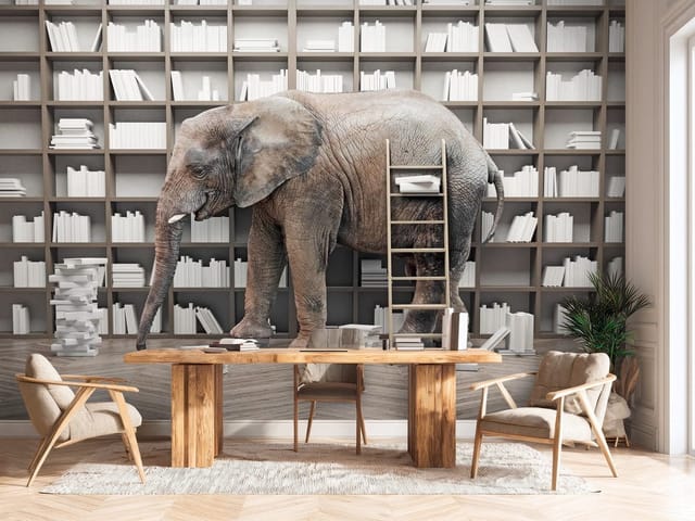Fototapeta Słoń w bibliotece z książkami (mpn: FT-7483) Fototapeta Słonie – słoń w bibliotece z książkami