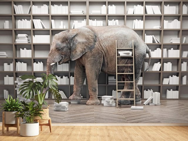 Fototapeta Słonie – słoń w bibliotece z książkami