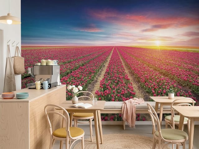 Fototapeta Pole Czerwonych Tulipanów o Wschodzie (mpn: FT-7512) Fototapeta Pola i Łąki – Pole czerwonych tulipanów o wschodzie