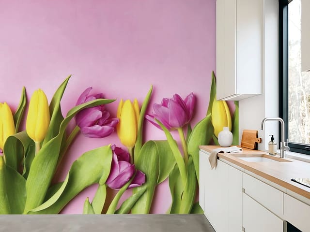 Fototapeta Żółte i fioletowe tulipany (mpn: FT-7525) Fototapeta Tulipany – żółte i fioletowe tulipany z zielonymi liśćmi na różowym tle