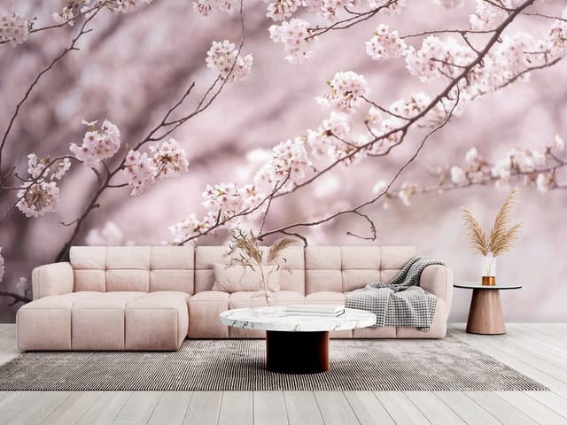 Fototapeta Sakura – Gałęzie pokryte kwiatami wiśni