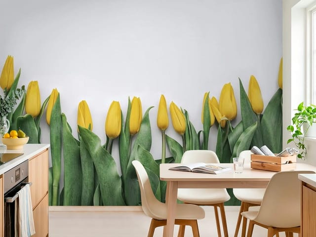 Fototapeta Żółte tulipany na białym tle (mpn: FT-7560) Fototapeta tulipany – żółte tulipany na białym tle
