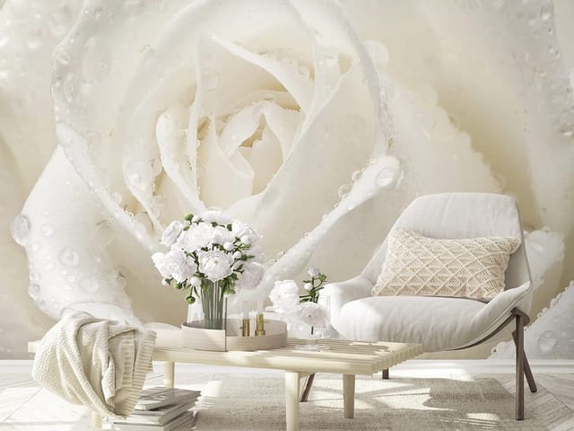 Fototapeta z białą różą pokrytą kroplami wody, ukazująca delikatną teksturę płatków