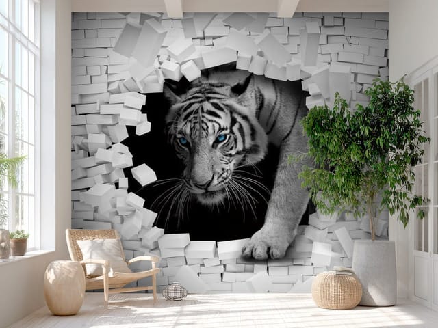 Fototapeta Biały tygrys w murze 3D (mpn: FT-7900) Fototapeta 3D dziura w ścianie – biały tygrys z niebieskimi oczami