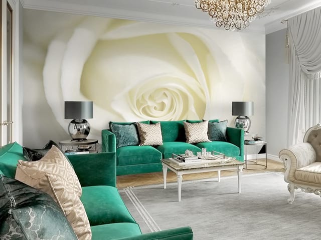 Fototapeta zbliżenie na białą różę z spiralnymi płatkami i delikatnymi tonami