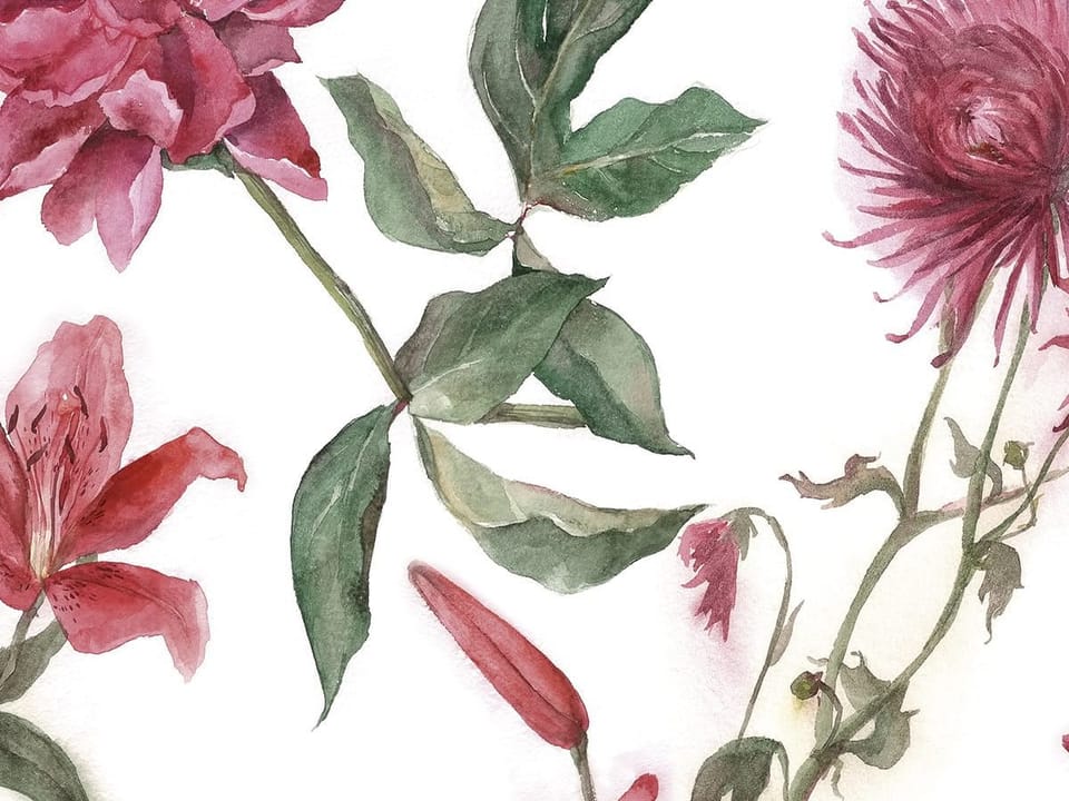 Fototapeta Kwiaty i kolibry na białym tle fragment #1