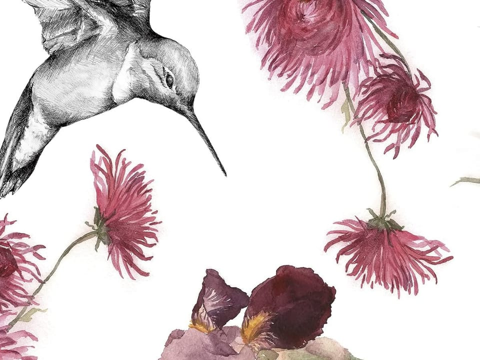 Fototapeta Kwiaty i kolibry na białym tle fragment #2