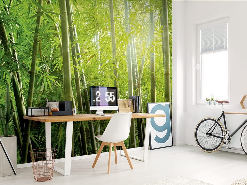 Fototapeta Spokojny las bambusowy we wnętrzu biura