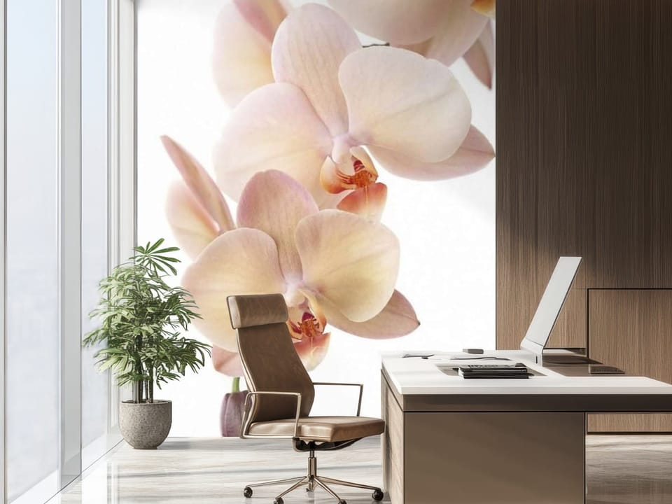 Fototapeta z kwiatami orchidei o delikatnych różowych płatkach - nowoczesna ściana w biurze