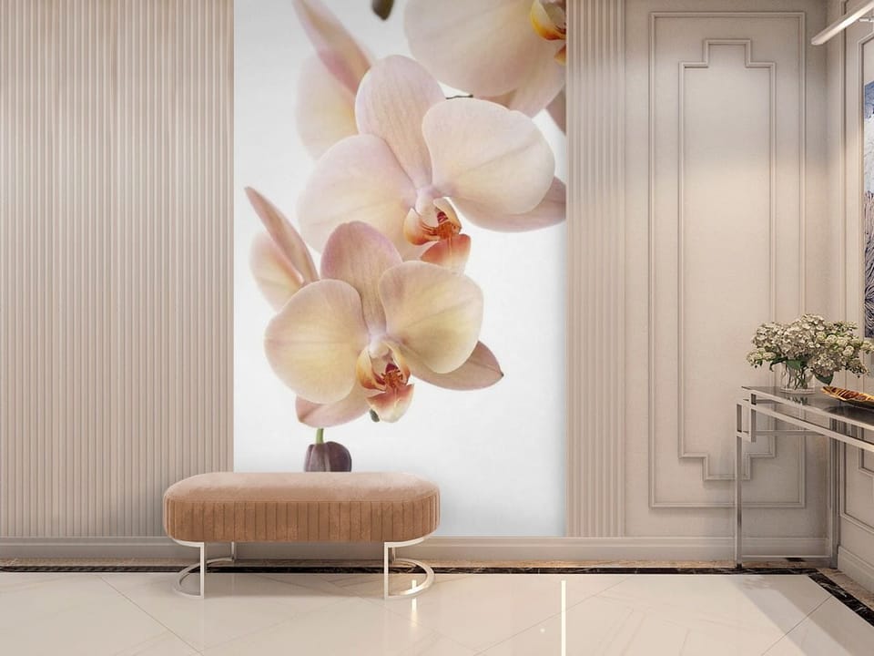 Fototapeta z kwiatami orchidei o delikatnych różowych płatkach - wnętrze z nowoczesnymi meblami w przedpokoju
