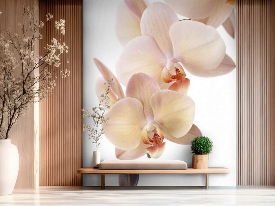 Fototapeta z kwiatami orchidei o delikatnych różowych płatkach - ściana w nowoczesnym dużym przedpokóju