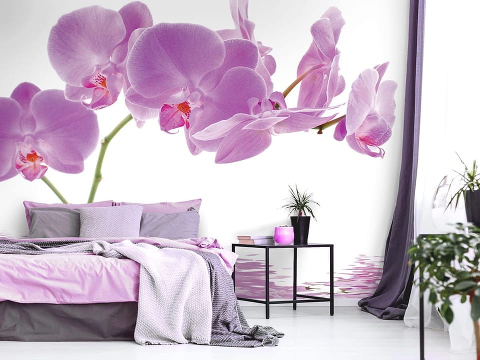 Fototapeta Fioletowe orchidee nad wodą - aranżacja w sypialni