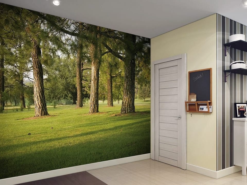 Fototapeta Las o świcie wśród drzew we wnętrzu przedpokoju