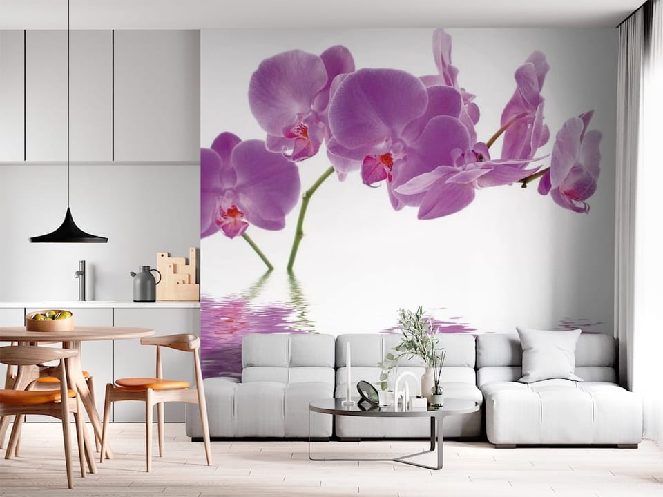 Fototapeta z fioletowymi orchideami nad wodą na białym tle - dekoracja ściany w jasnej kuchni