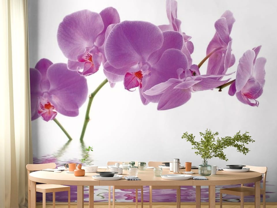 Fototapeta z fioletowymi orchideami nad wodą na białym tle - pomysłowa aranżacja strefy jadalnianej w kuchni