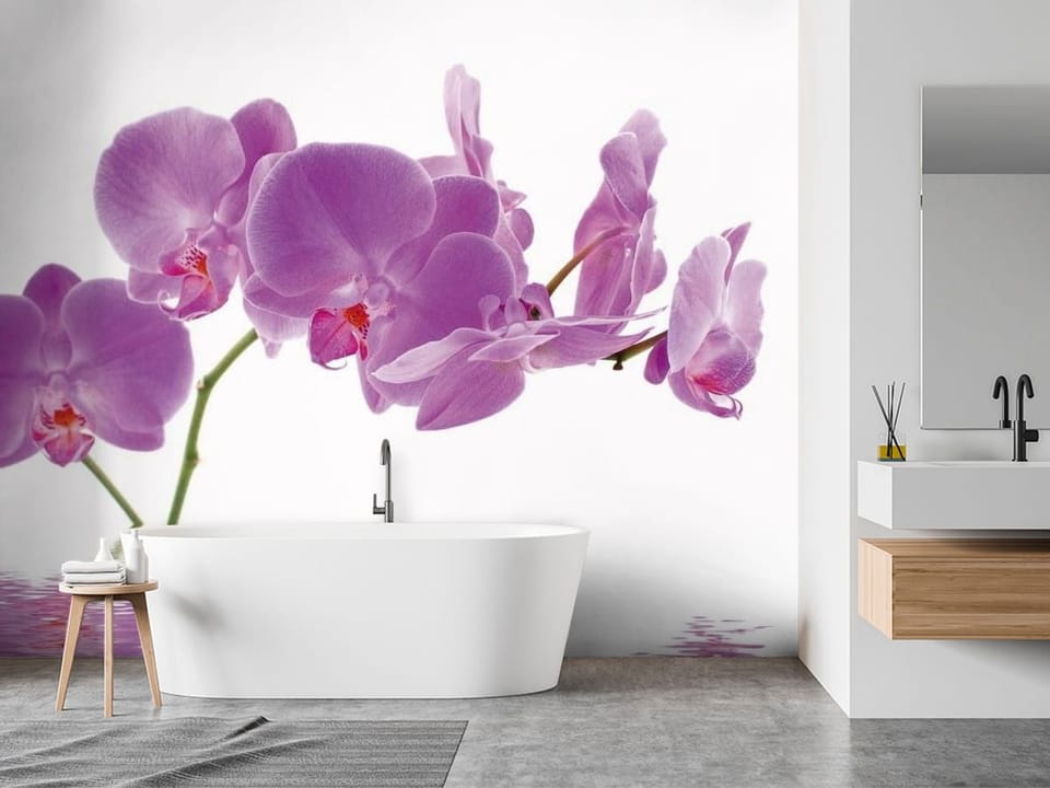 Fototapeta z fioletowymi orchideami nad wodą na białym tle - aranżacja w jasnej łażience