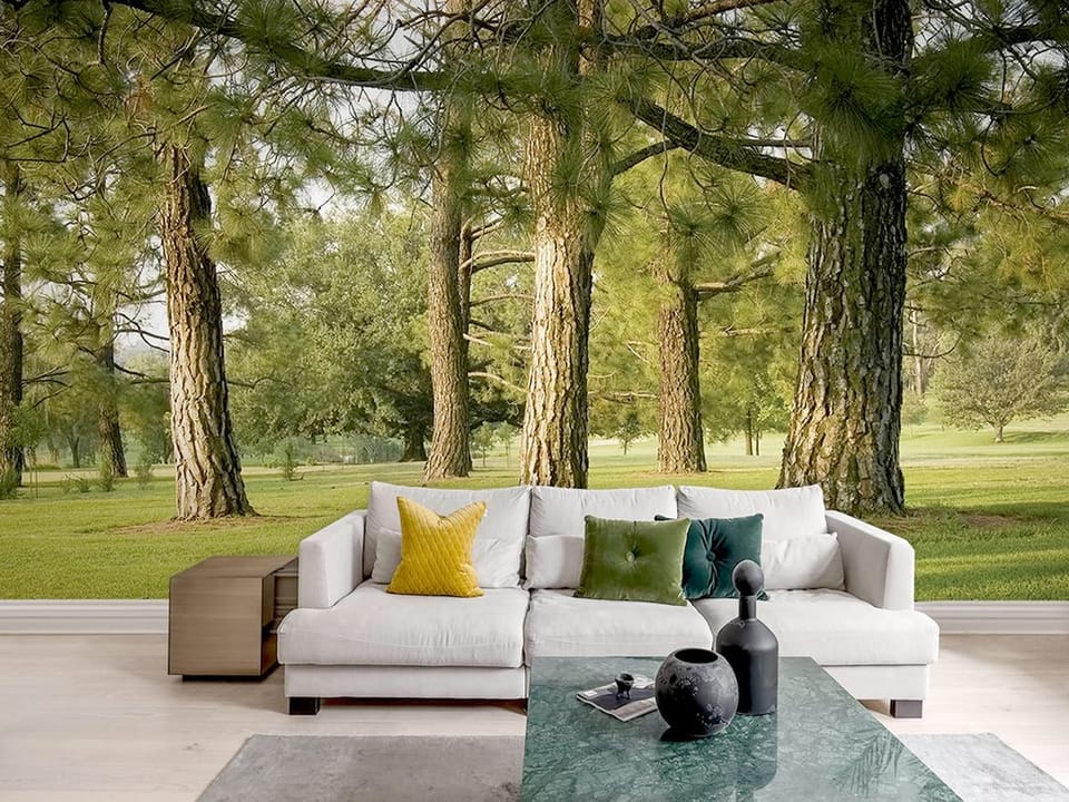 Fototapeta Las o świcie wśród drzew we wnętrzu salonu