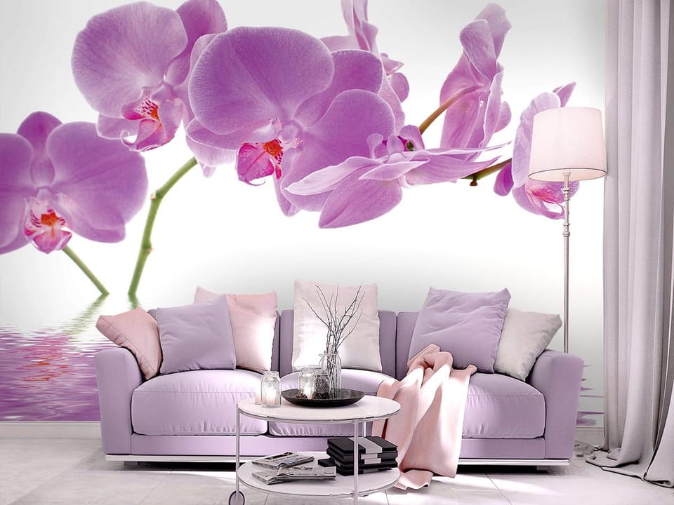 Fototapeta z fioletowymi orchideami nad wodą na białym tle -