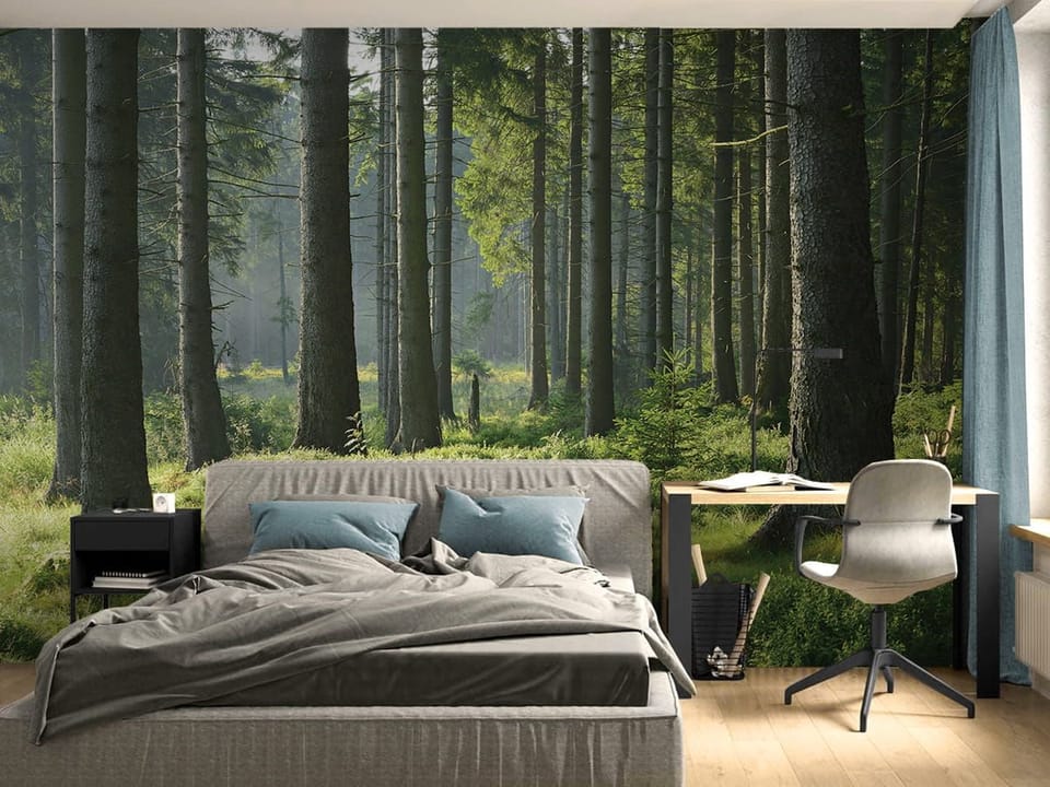 Fototapeta Las o świcie z promieniami słońca we wnętrzu pokoju nastolatka