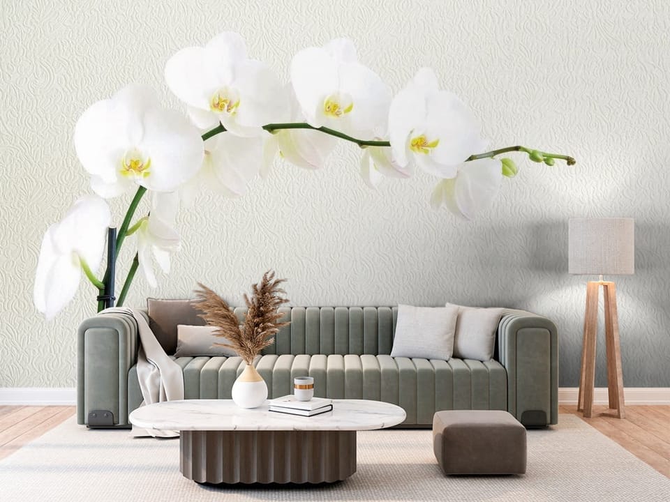Fototapeta przedstawiająca białe kwiaty orchidei na zielonej łodydze z jasnym tłem - ściana w klasycznym salonie