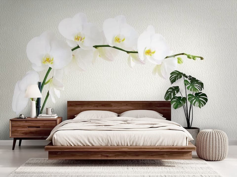 Fototapeta przedstawiająca białe kwiaty orchidei na zielonej łodydze z jasnym tłem - sypialnia boho z łóżkiem drewnianym